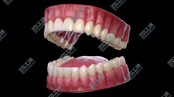 images/goods_img/20210312/Mouth 3D model/1.jpg